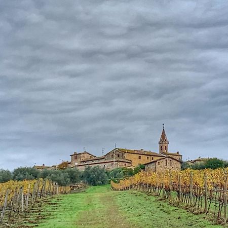 House With A View In Tuscany San Gusme Buitenkant foto