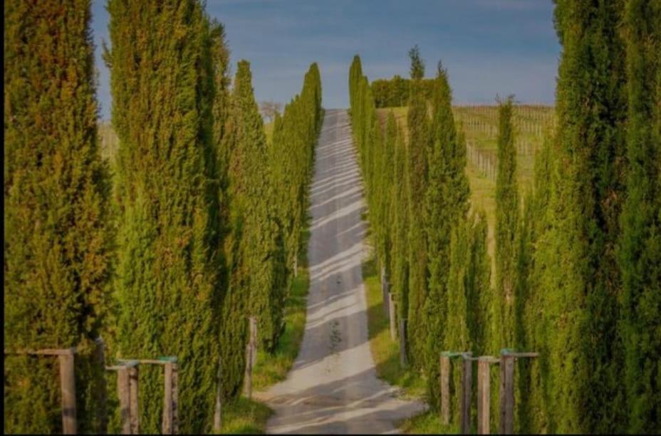 House With A View In Tuscany San Gusme Buitenkant foto