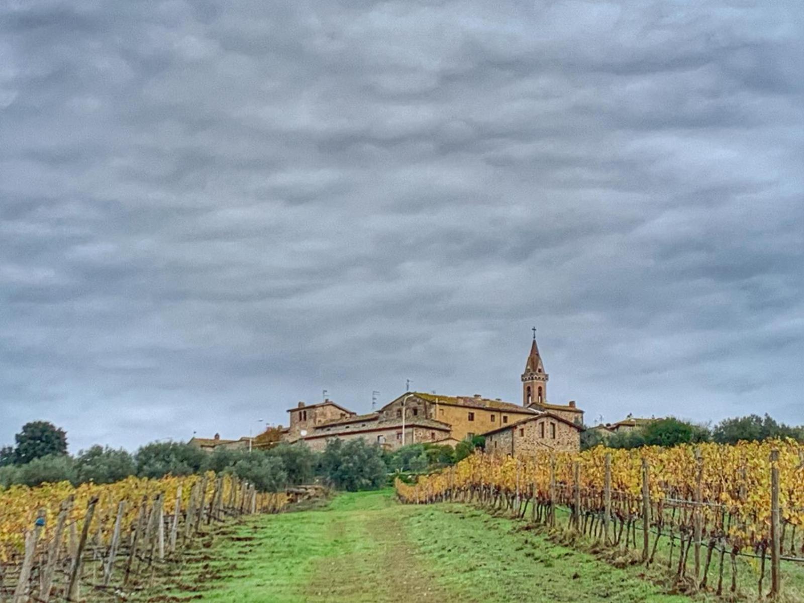 House With A View In Tuscany San Gusme Buitenkant foto