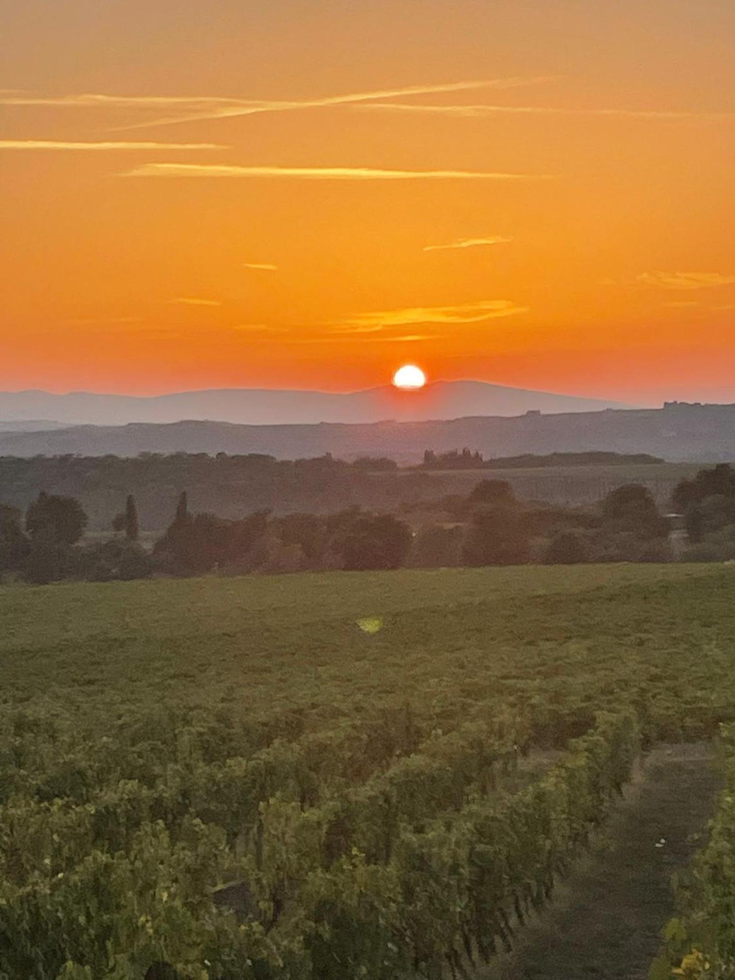 House With A View In Tuscany San Gusme Buitenkant foto