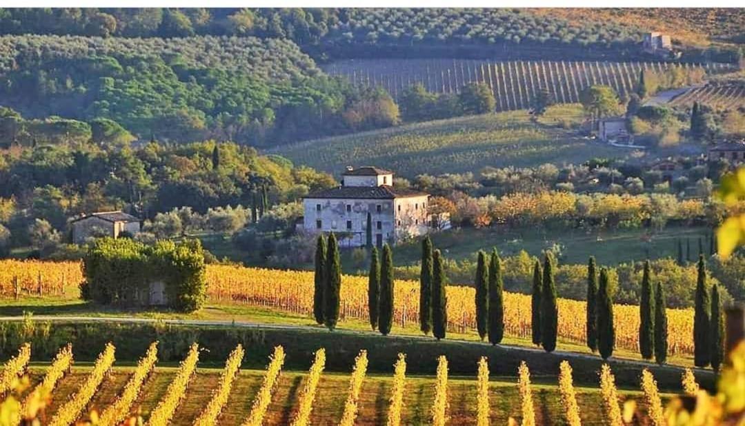 House With A View In Tuscany San Gusme Buitenkant foto