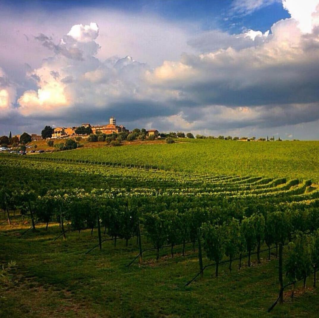 House With A View In Tuscany San Gusme Buitenkant foto